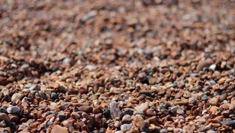 pebble beach with distant figures near the sea