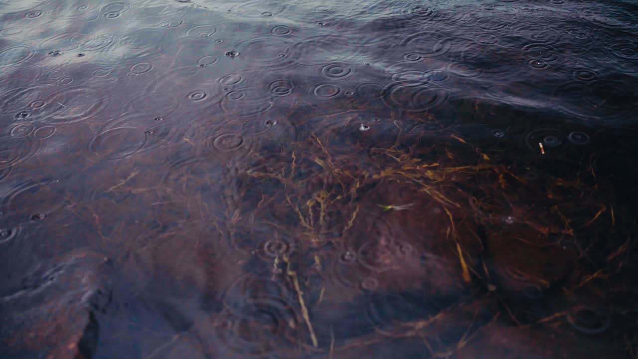 Raindrops Over Still Lake Waters In The Mountain Trail. Close-up Shot