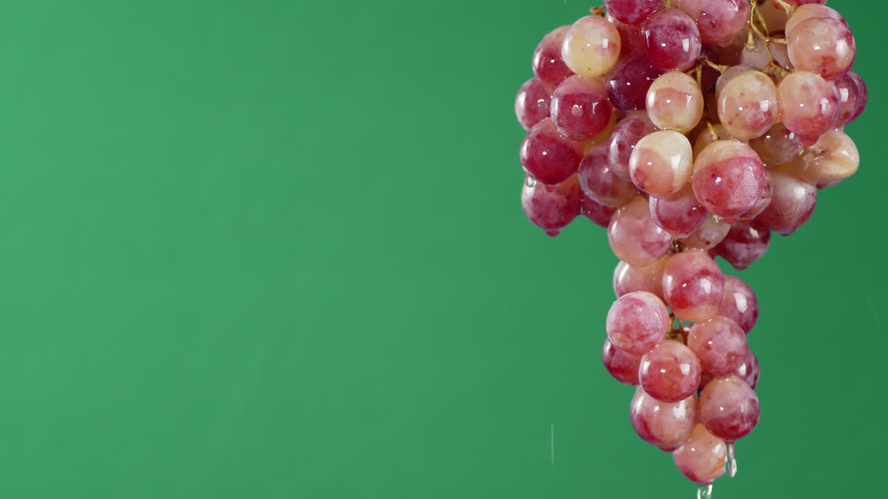 Con grappoli di uva rossa matura che gocciola acqua