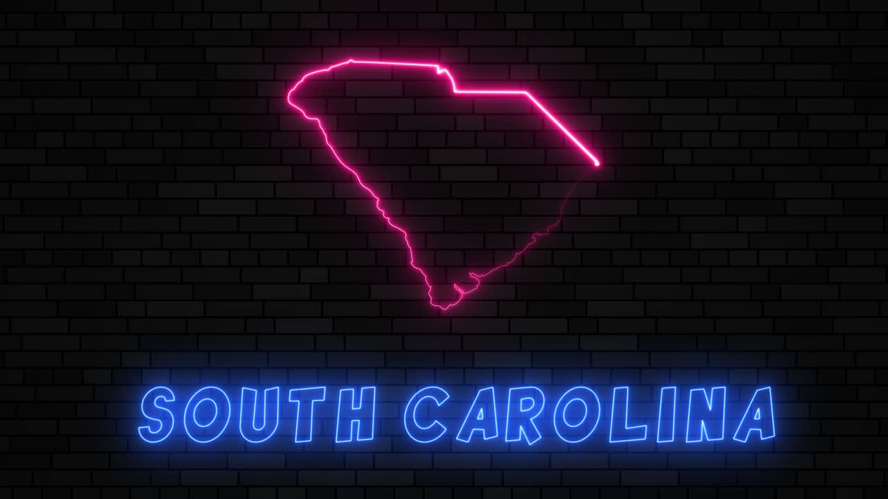 사우스 캐롤라이나 주 지도: 어두운 벽돌 벽 바탕에 네온 선을 가진 실루