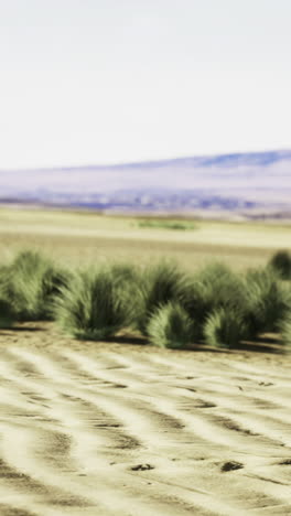 expansive sand dunes stretch under a clear sky with distant mountains visible