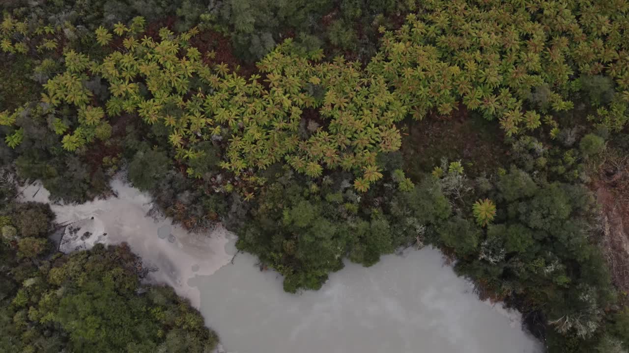 drones vuelan sobre piscinas de barro y aguas termales rodeadas de vegetación nativa en waiotapu, nueva zelanda