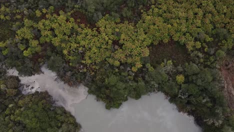 Drone-fly-over-Mud-Pool-and-hot-springs-surrounded-by-native-vegetation-at-Waiotapu,-New-Zealand