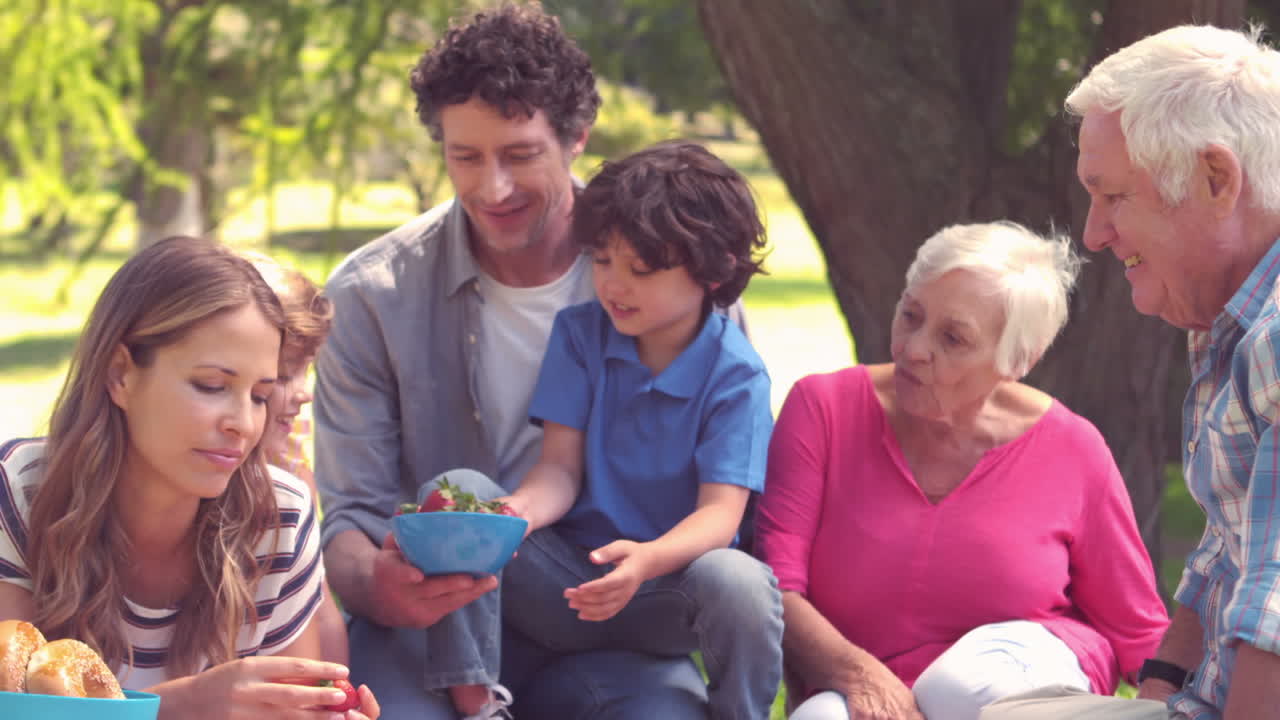 Happy family on a picnic in the park 