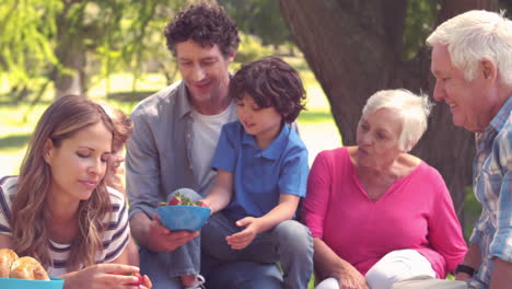 happy family on a picnic in the park