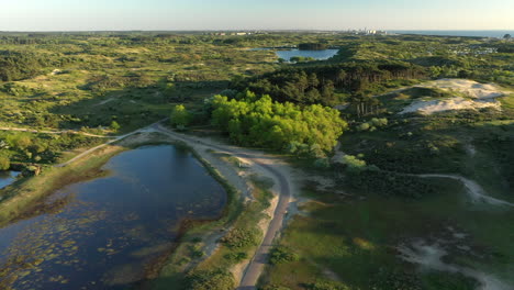 Aerial-fast-movement-of-National-park-Kennemerland-with-sunset