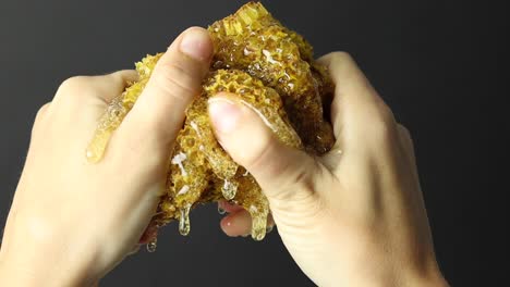 Person-squeezing-honeycomb-with-honey