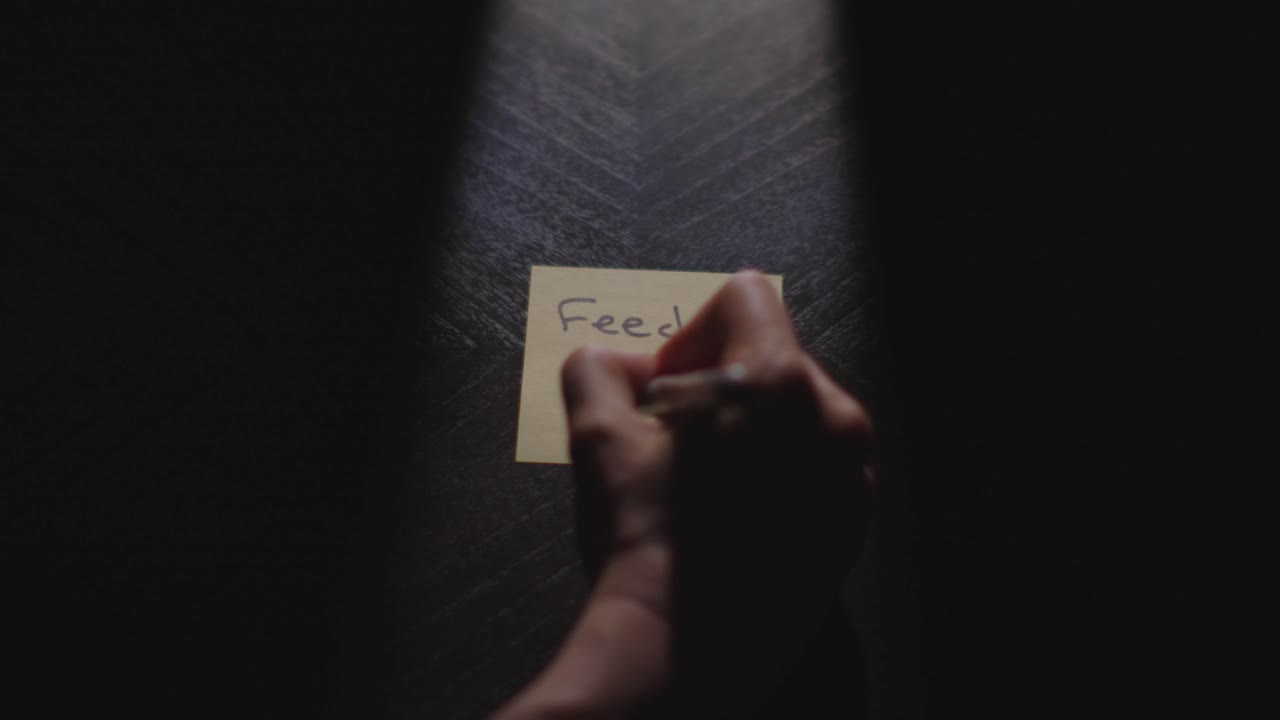 Slow motion close up footage of a hand writing out "Feed the Dog" on a paper note and placing it on a table. Shot in dramatic lighting for an impressive title or transition