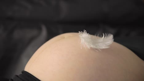 Three-feathers-softly-fall-onto-a-pregnant-belly-in-close-up