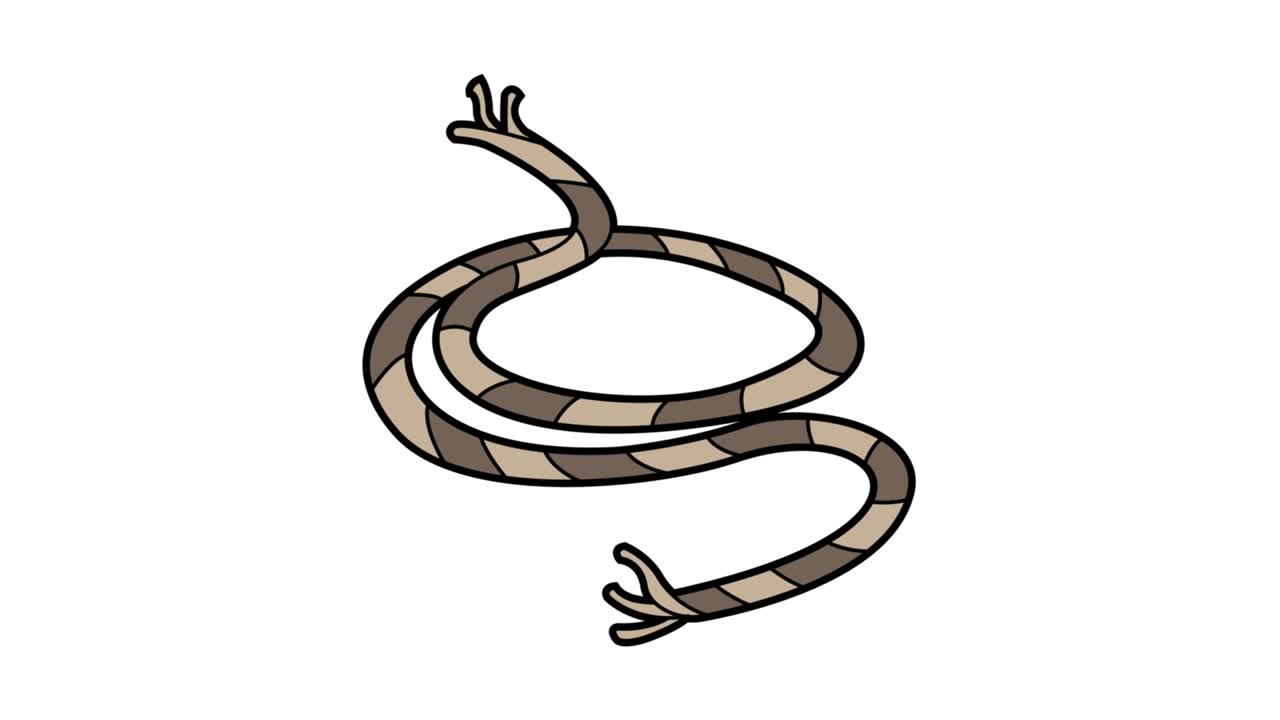 animation de cordes écran blanc