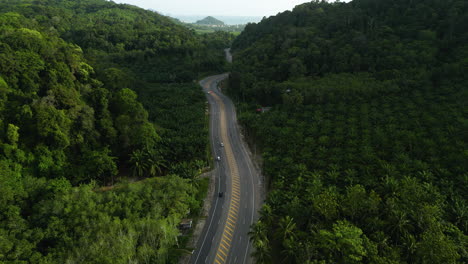 aerial over a highway running through a tropical lush heavily jungled valley of limestone covered with palm trees near ao nang, krabi province, thailand