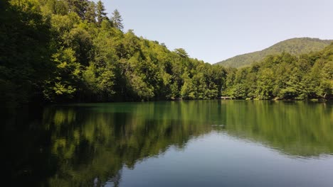 Auto-Reisender-Mittlerer-Wald-7