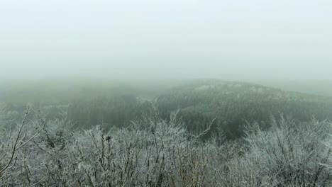 Langsamer-Aufstieg-über-Blattlose-Bäume-Im-Winter,-Um-Nebligen-Und-Schneebedeckten-Wald-Voller-Bäume-In-Einem-Tal-Zu-Enthüllen