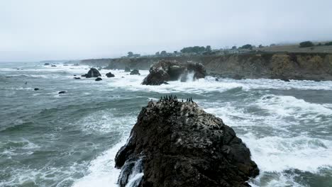 stormy waves crash along arched rock in sonoma county bodega bay along pacific highway 1 coast, california