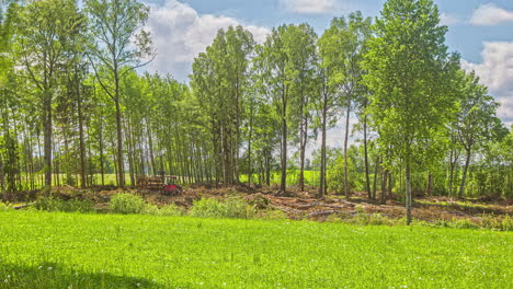 Wheeled-Tractor-With-Trailer-Collecting-Tree-Log-At-Summer-In-The-Countryside