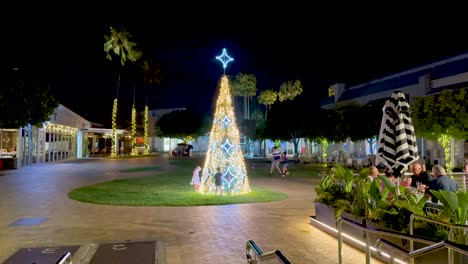 illuminated tree with people at night