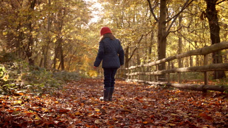 Junges-Mädchen,-Das-Den-Weg-Durch-Die-Herbstliche-Landschaft-Entlang-Geht