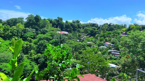 scenic view of rural houses surrounded by dense tropical vegetation. ideal for themes of nature, eco-living, or secluded community life
