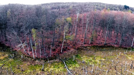 Santuario-De-La-Montaña-De-ámbar-En-Lublewo-Gdańskie,-Polonia