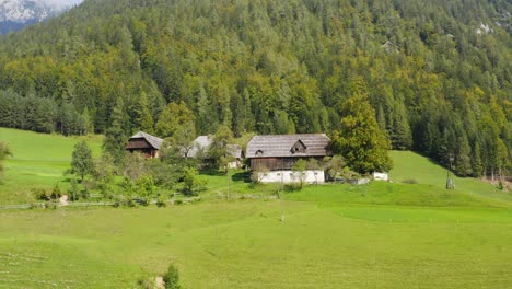 aerial view past wooden timber lodge on foot of forested hillside in slovenia