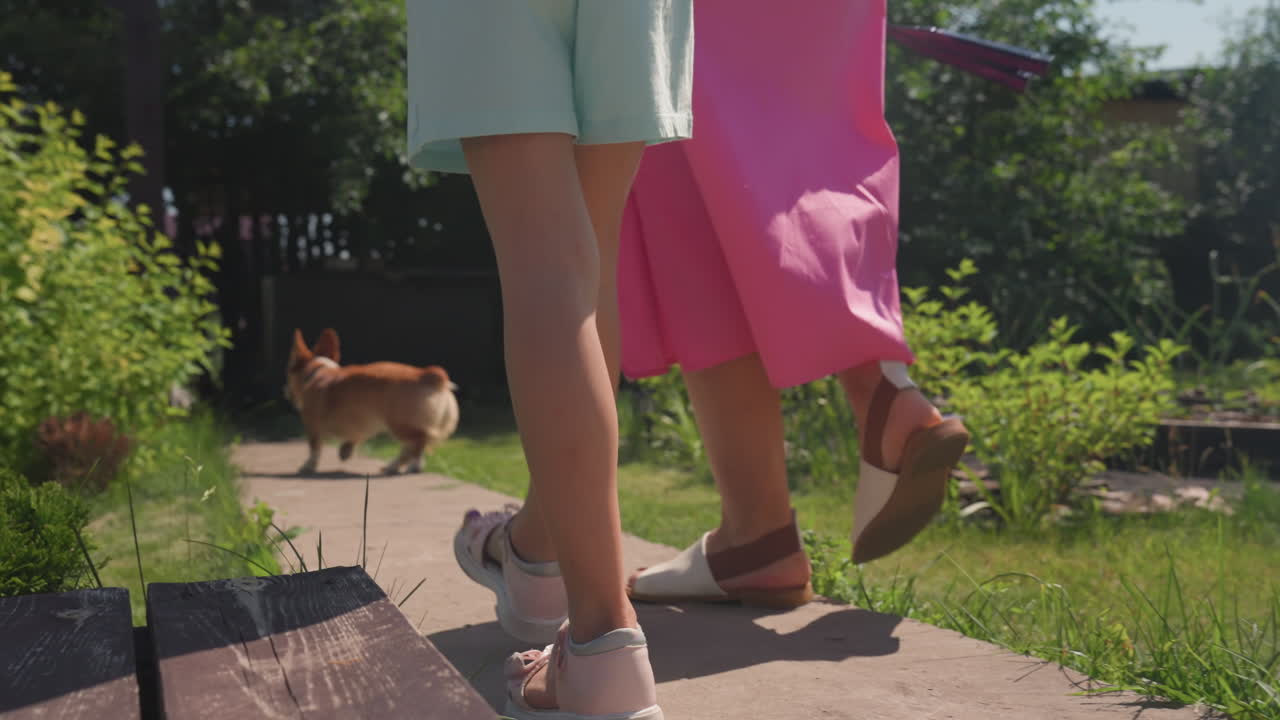 Young Girls And Dog Moving Through Garden, Teen Girls Walking With Playful Dog Amidst Blooming Flowers, Girls In Sandals Stride Across Garden Stones While Energetic Dog Happily Trots Behind