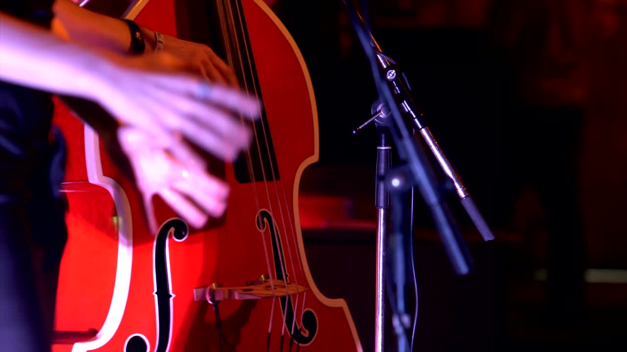 Musician playing contrabass