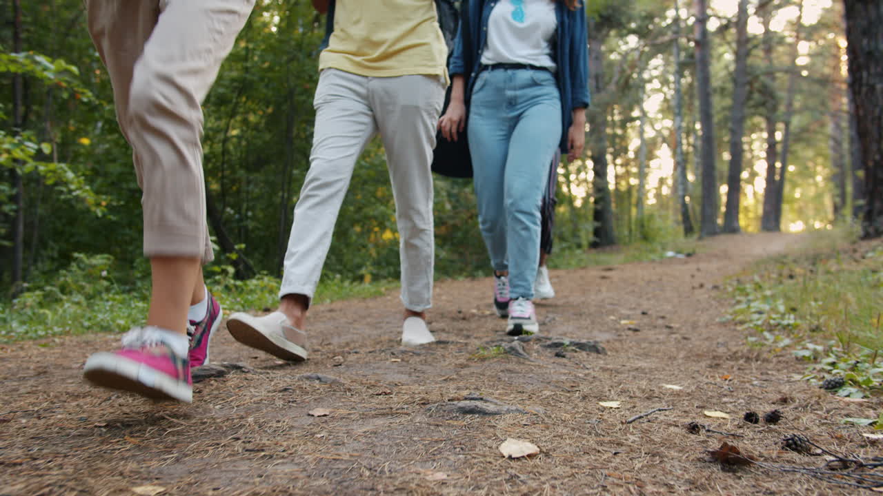 Des amis en randonnée dans la forêt