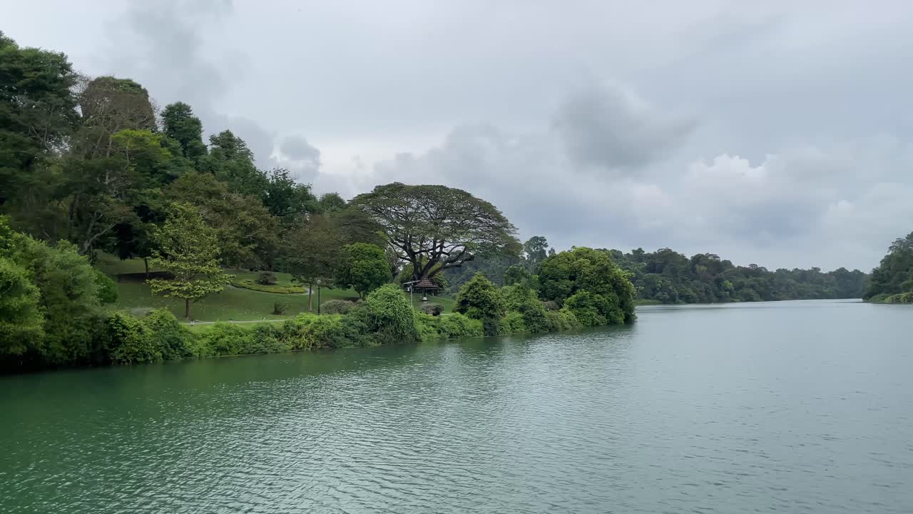 vista tranquila del flujo tranquilo en el embalse macritchie rodeado de agua y naturaleza