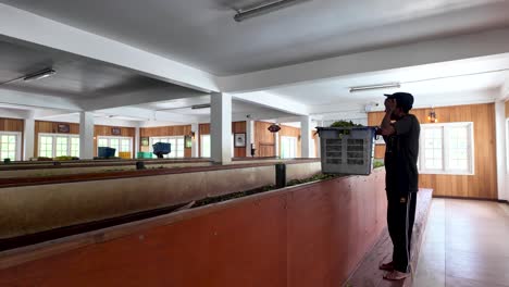 tea factory worker sorting tea leaves
