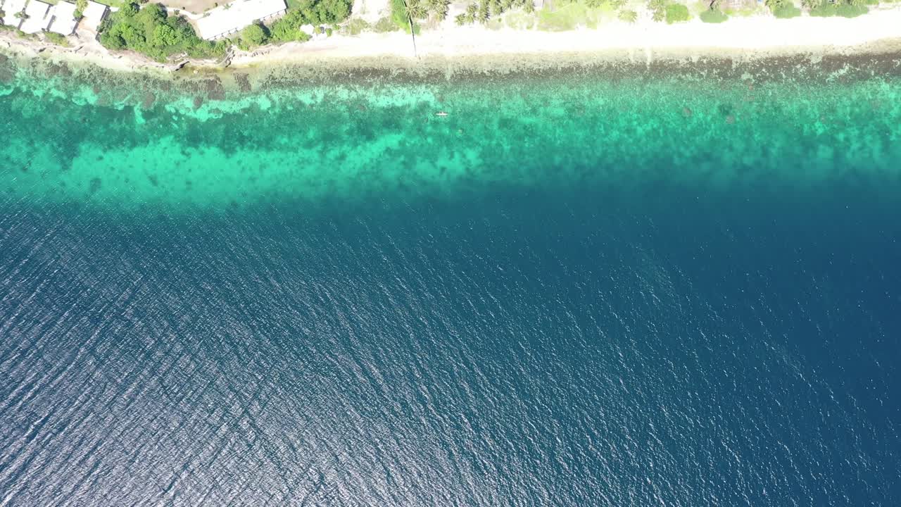 amplia vista aérea de pájaro sobre un arrecife de coral en aguas turquesas transparentes cerca de una costa verde, tiro de establecimiento inclinado, concepto de viaje