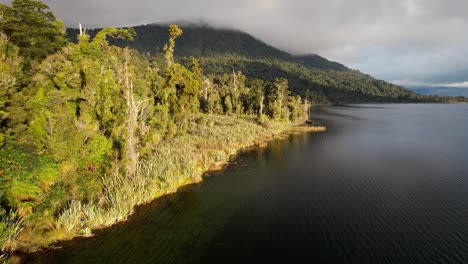 dark waters of lake ianthe on west coast of new zealand's south island, surrounded by lush forest and misty mountains. aerial panning shot