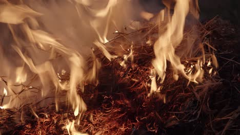 straw, hay being burned in a fire at night, static medium shot