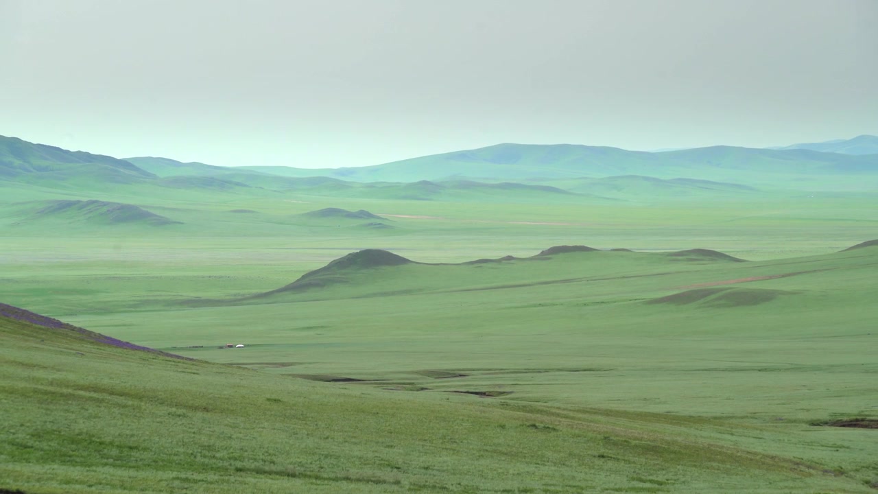 Vidtstrakt grønt græslandskab i Mongoliet