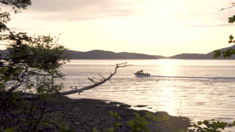 speedboat cruising in the glistening water of sea at sunrise