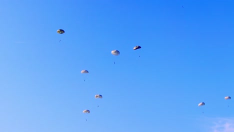military paratroopers are seen floating gently under parachutes against a vibrant blue sky. the shot captures the calm descent of soldiers during a coordinated air drop at ginkelse heide, netherlands