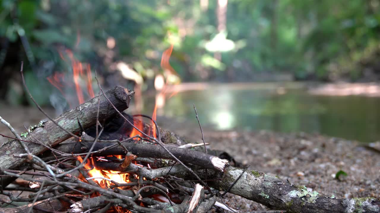 4K Mellemoptagelse af brændende flammer, brænde og bål i fyrreskov nær bæk. Brændende træbål i fyrreskov. Eventyr-, camping- og rejsekoncept.