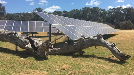 grandes paneles solares en un terreno agrícola