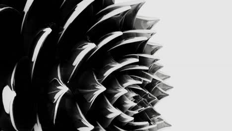 una animación de arte digital de una flor de loto negra que se abre en un bucle de renderización 3d