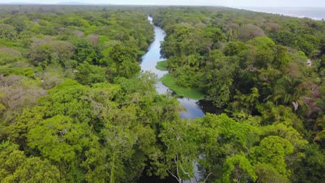 aerial drone view of the tortuguero canals in costa rica