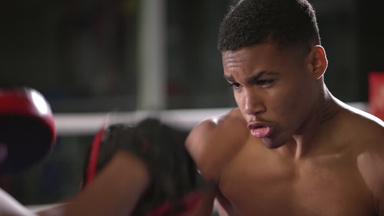 진행 중인 권투 경기