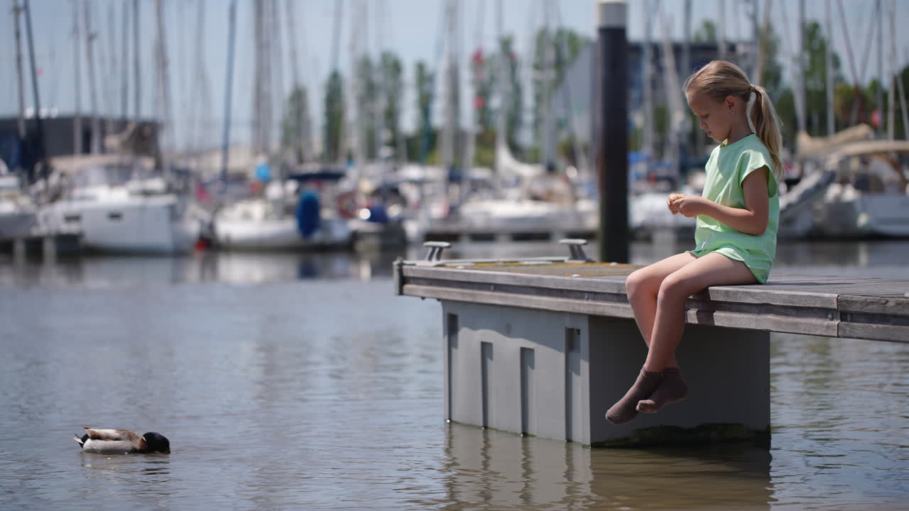 Girl is sitting on wooden dock, gently feeding ducks near marina waters, experiencing serene moment with wildlife during sunny summer day