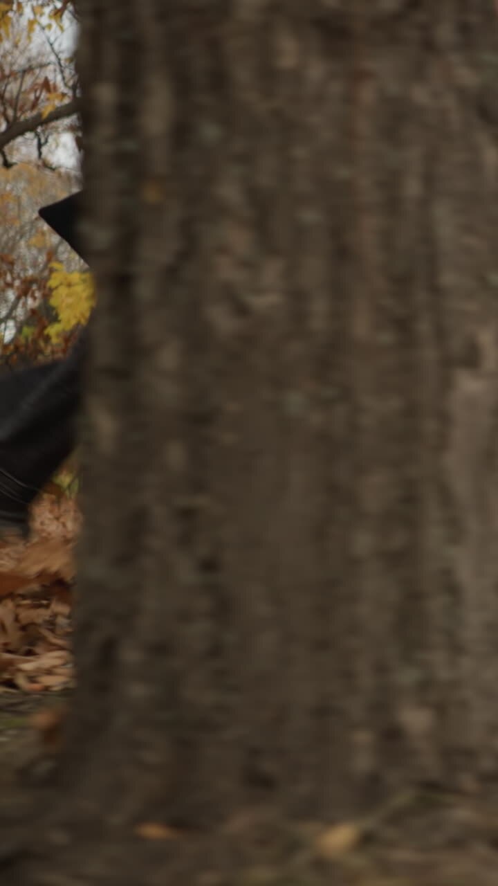 Vista laterale delle gambe di un individuo che passeggia in una foresta, spargendo giocosamente foglie secche ad ogni passo, vestito con scarpe di tela e jeans neri.