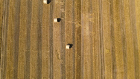 Top-down-birds-eye-view-of-fields-of-hay-bales