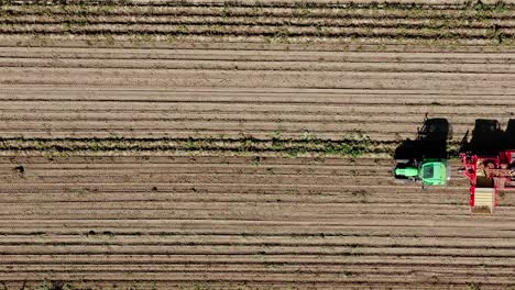 Un-Tractor-De-Cosecha-De-Patatas-Entra-En-El-Marco,-Toma-La-Parte-Superior-Desde-Arriba-Por-Un-Dron-Con-Efectos-De-Velocidad-Y-Cámara-Lenta