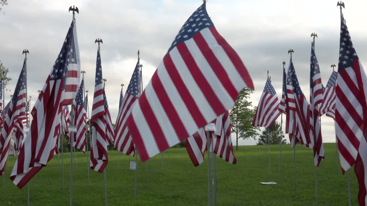 American Flags Waving in a Grassy Field on a Cloudy Day