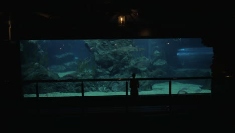 woman in bangkok thailand at the oceanarium of siam ocean world take pictures on tablet of fish