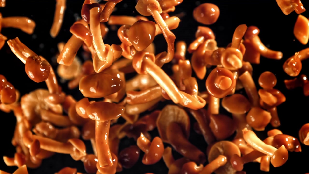Funghi Chiodini Freschi che Cadono al Rallentatore su Sfondo Nero