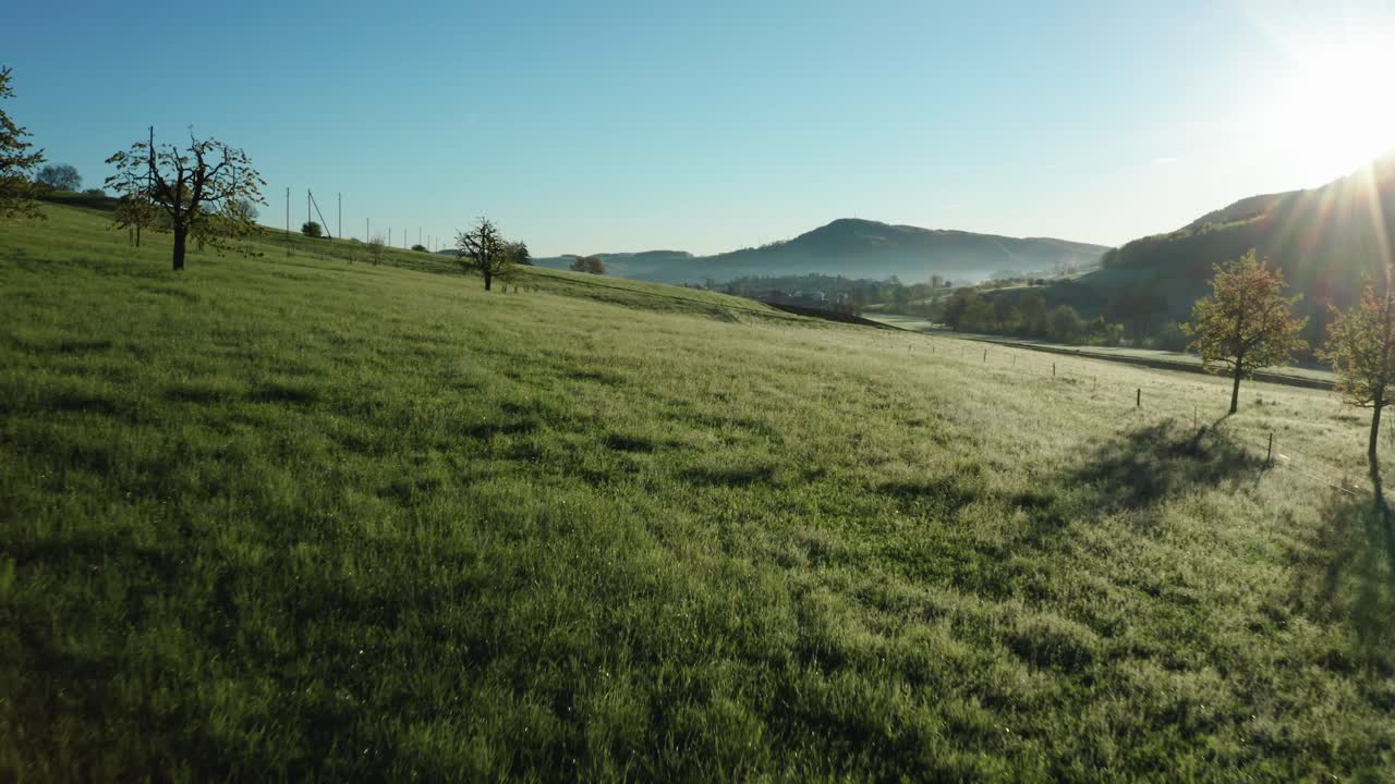 toma aérea de un hermoso campo verde con rocío matutino durante el día soleado en el campo de suiza, toma pacífica y relajante de drones