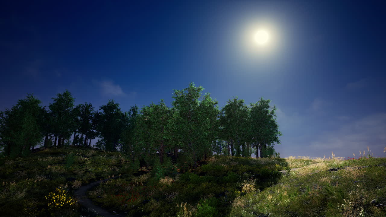 Paesaggio della foresta al chiaro di luna
