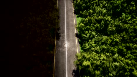 forest road at rainy weather aerial view 3d realistic footage. highway and nature landscape top view scenery. narrow empty path from above motion. flying through green trees. rain effect animation